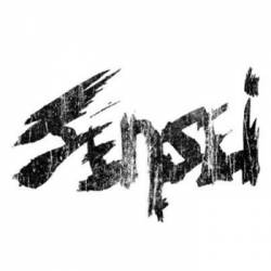 Sensei : Demo 2010
